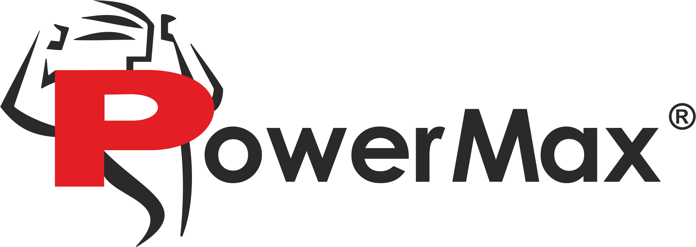 Powermax Logo